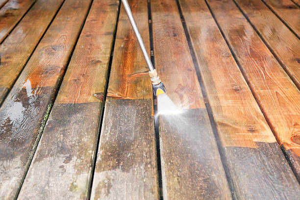 Best Sidewalk and Walkway Cleaning  in Alpine, CA